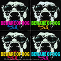 BEWARE OF DOG - The New Hippies